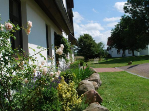 Landhaus mit Schwimmbad in Dargun